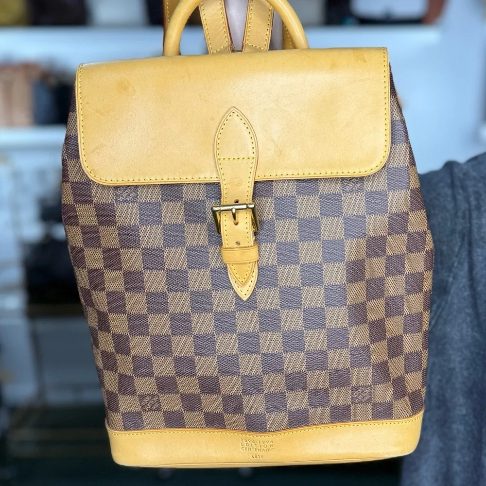 lv damier ebene backpack